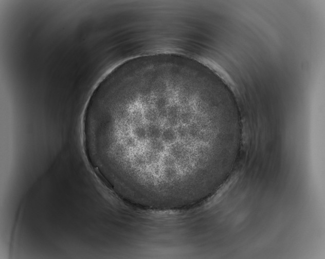 X0000091901031200709261654