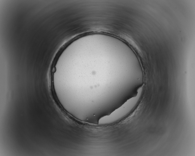 X0000091901032200709261654