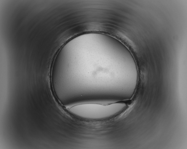 X0000091901033200709261654