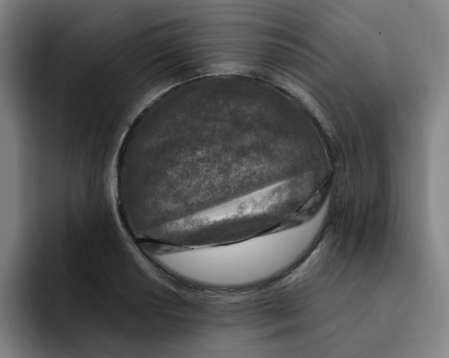 X0000091901034200709261654