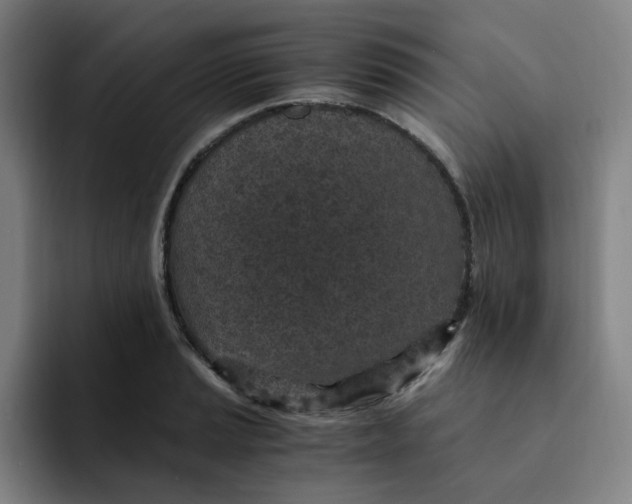 X0000091901037200709261654