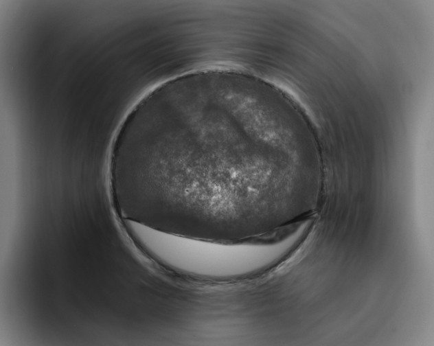 X0000091901038200709261654