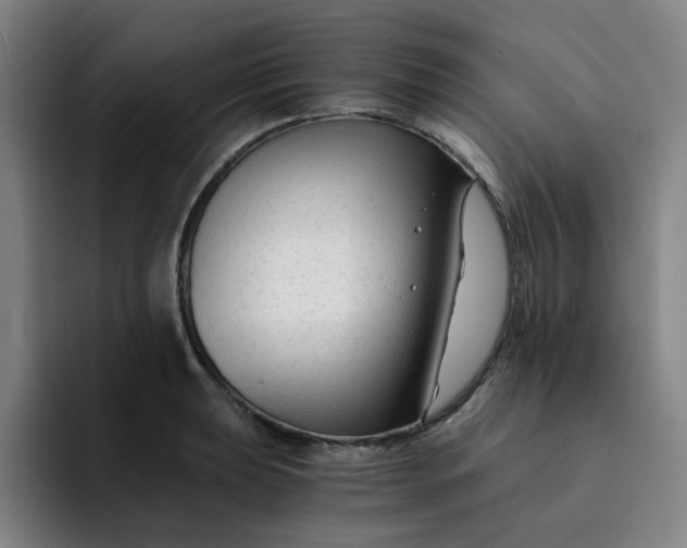 X0000091901039200709261654