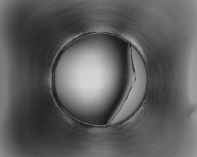 X0000091901040200709261654