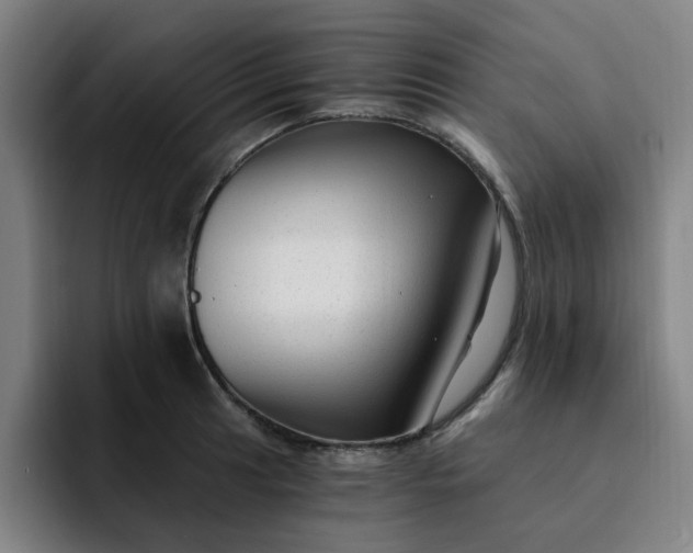 X0000091901041200709261654