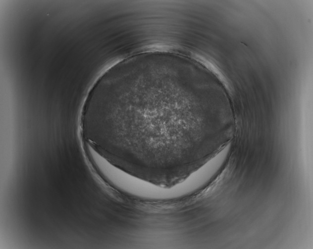 X0000091901042200709261654