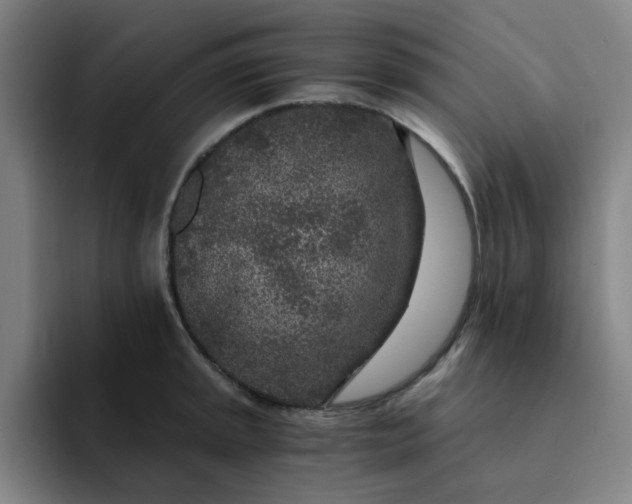 X0000091901045200709261654