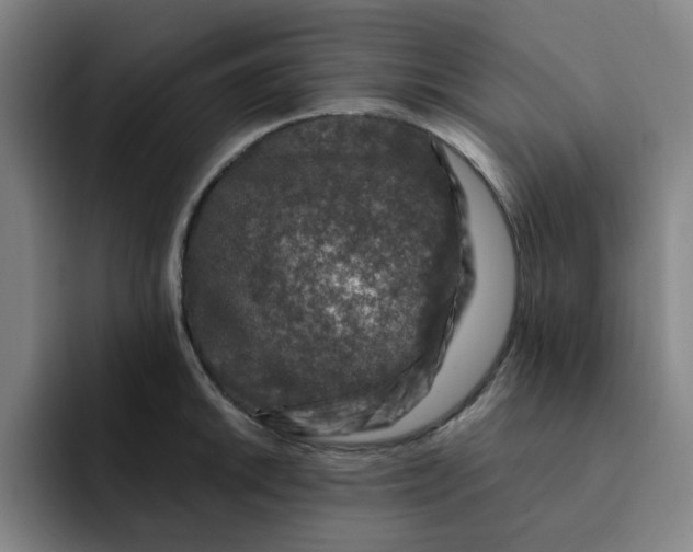 X0000091901046200709261654