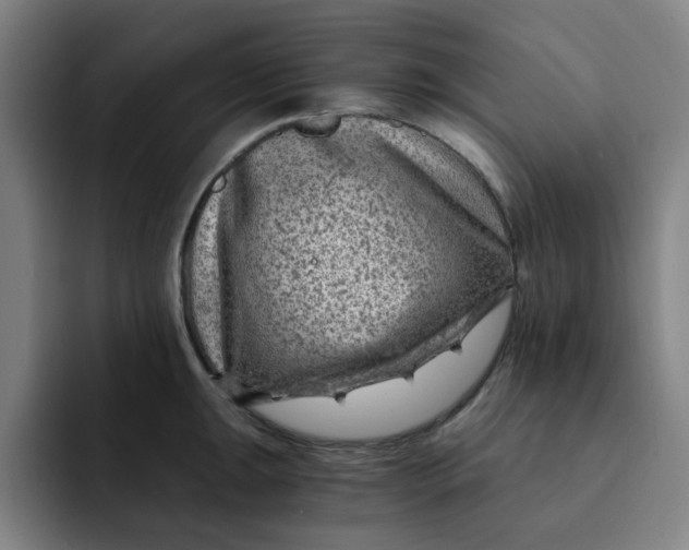 X0000091901047200709261654