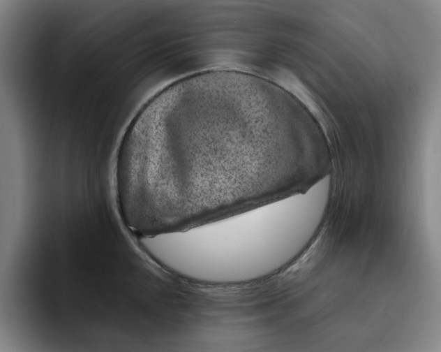 X0000091901048200709261654