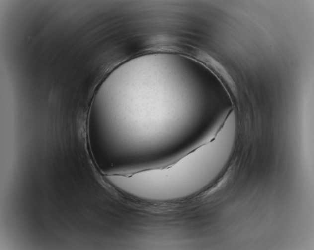 X0000091901049200709261654