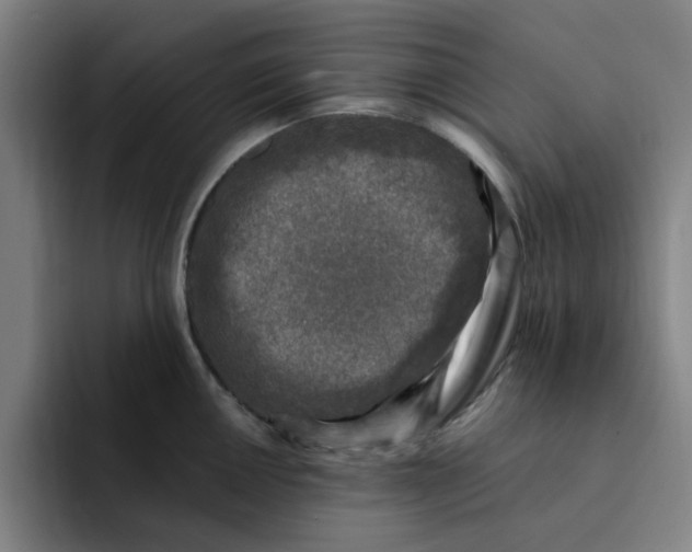 X0000091901050200709261654