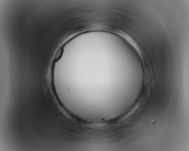 X0000091901053200709261654