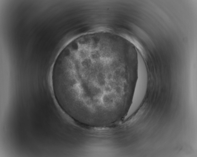 X0000091901055200709261654