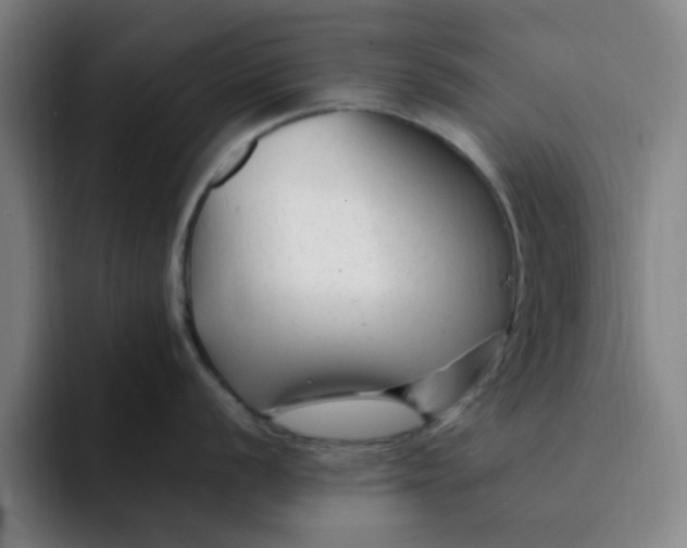 X0000091901056200709261654