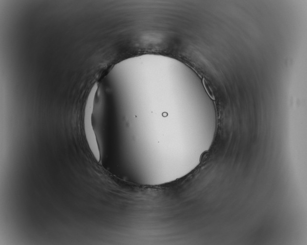 X0000091901058200709261654