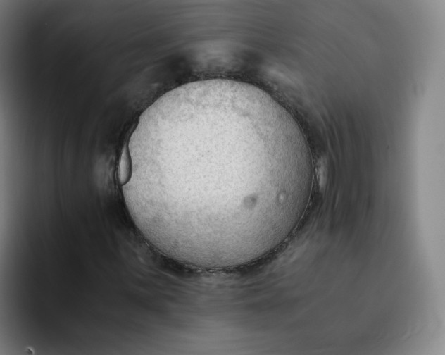 X0000091901059200709261654