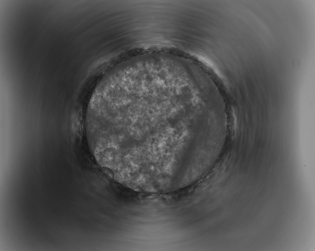 X0000091901063200709261654