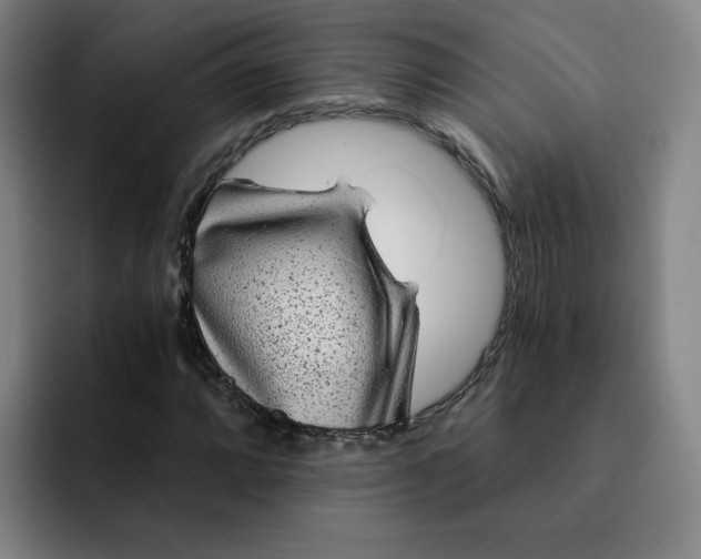 X0000091901064200709261653