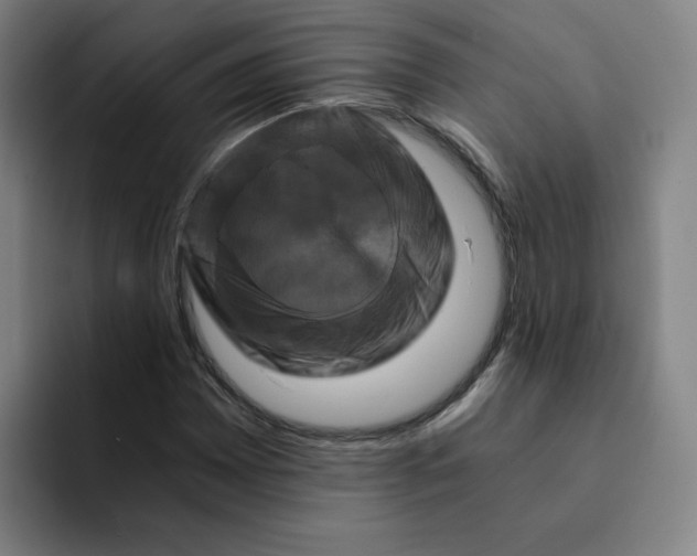 X0000091901065200709261653