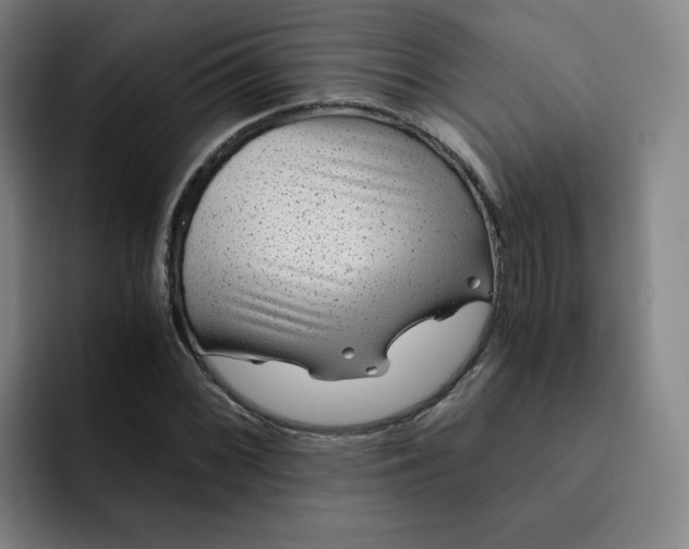 X0000091901068200709261653