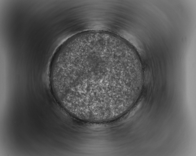 X0000091901071200709261653