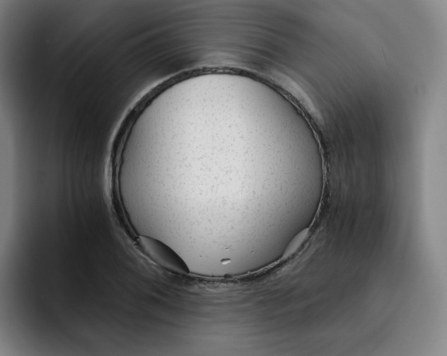 X0000091901076200709261653