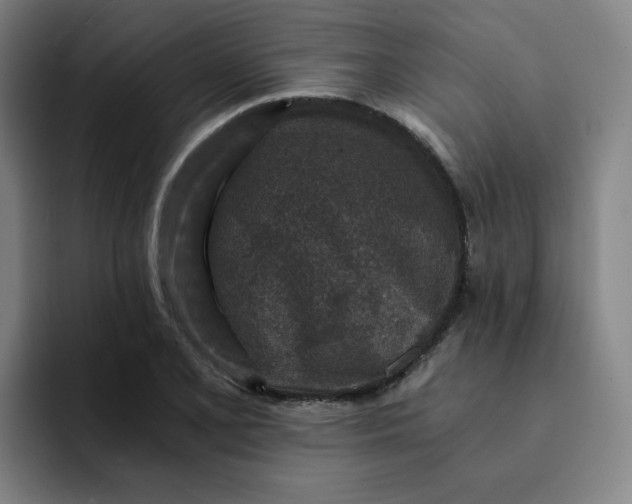 X0000091901077200709261653