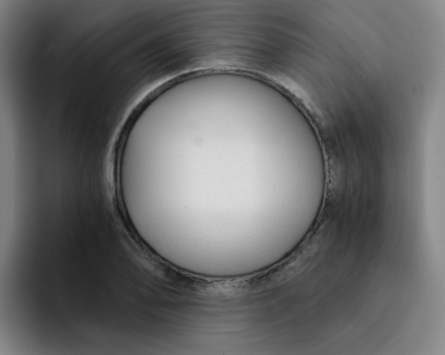 X0000091901078200709261653