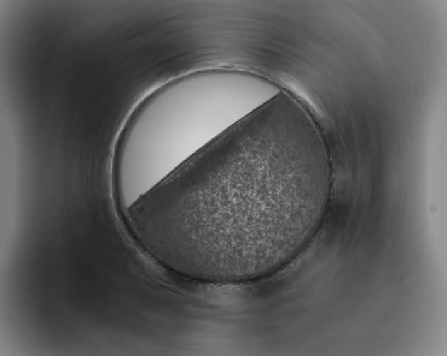 X0000091901079200709261653