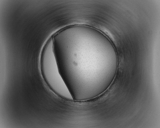 X0000091901080200709261653