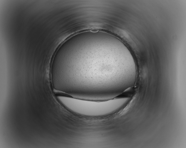 X0000091901081200709261653