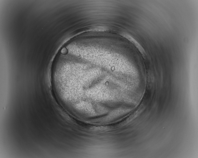 X0000091901083200709261653