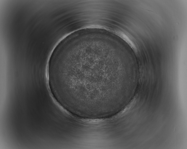 X0000091901084200709261653