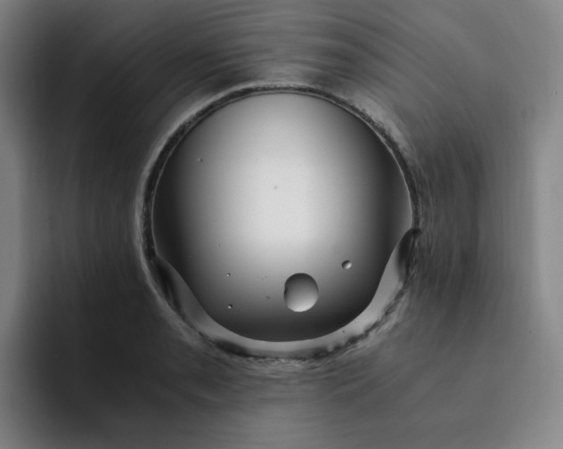 X0000091901085200709261653