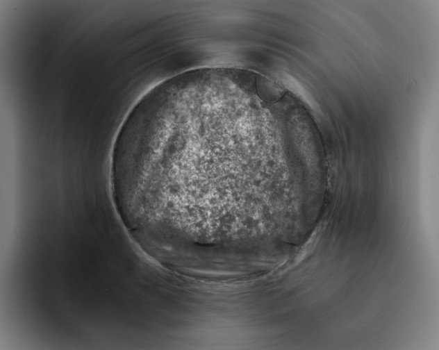 X0000091901087200709261653