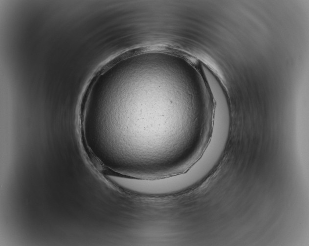 X0000091901088200709261653