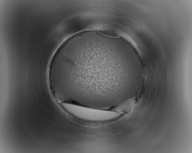 X0000091901091200709261653