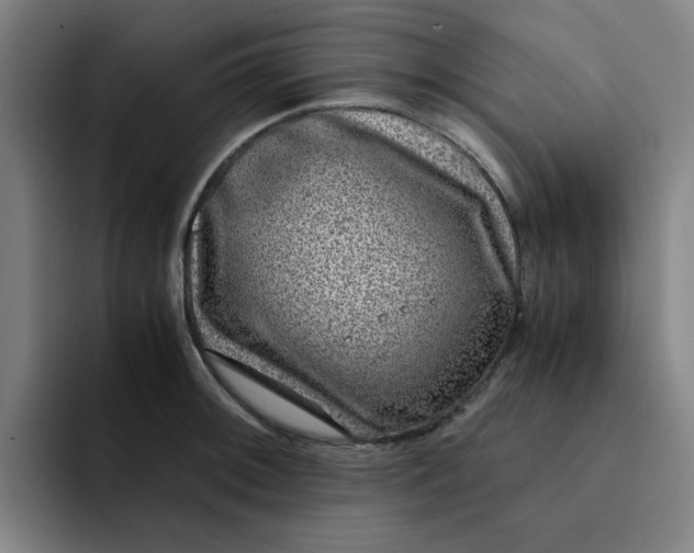 X0000091901092200709261653