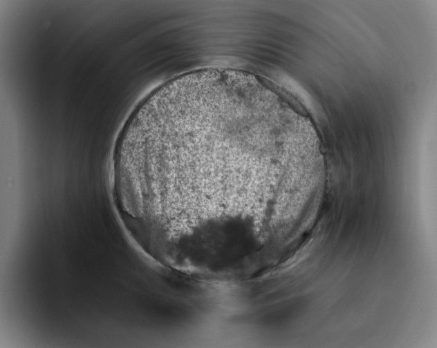 X0000091901095200709261653