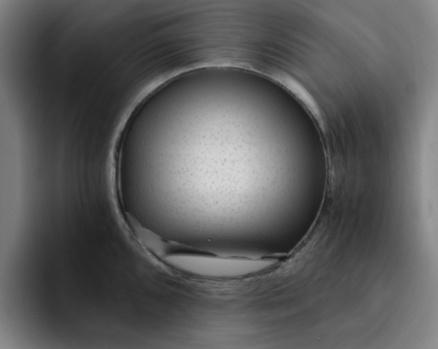 X0000091901096200709261653