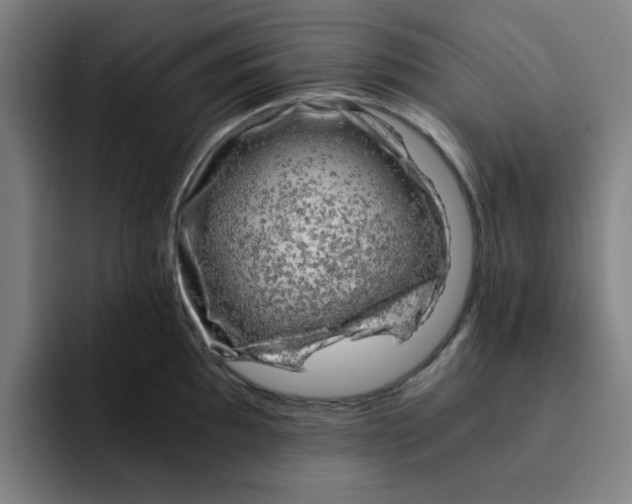 X0000091901097200709261653