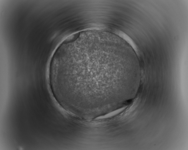 X0000091901099200709261653