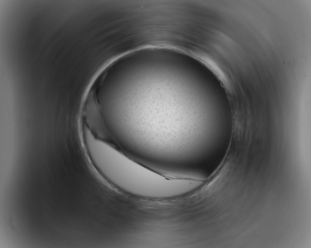 X0000091901100200709261653