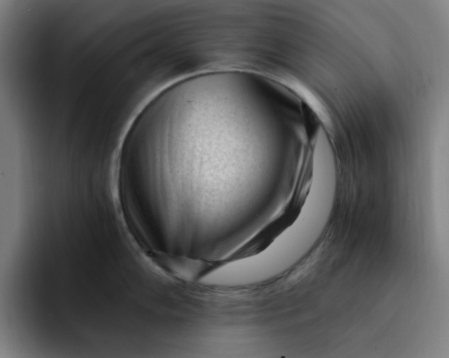 X0000091901102200709261653