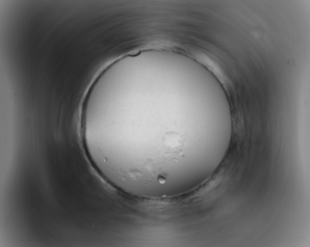 X0000091901103200709261653