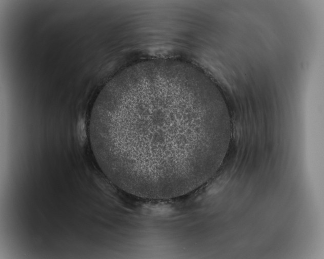 X0000091901106200709261652