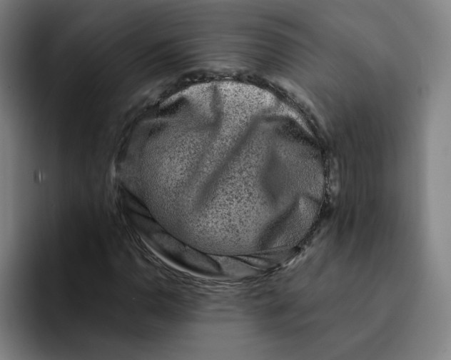 X0000091901110200709261653