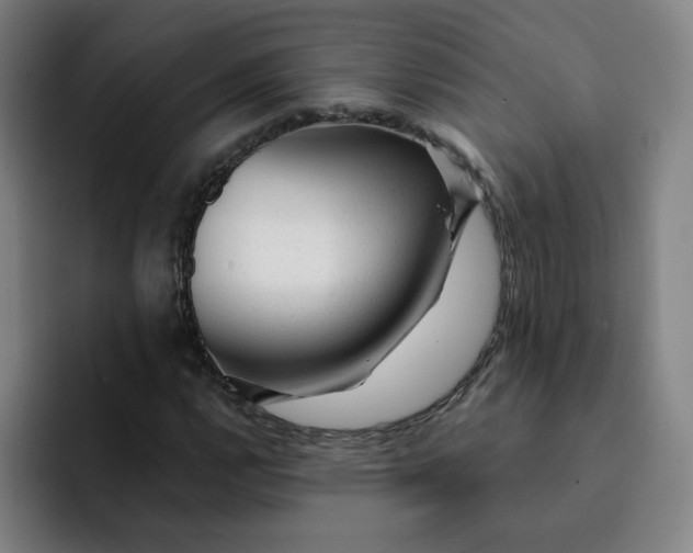 X0000091901112200709261653