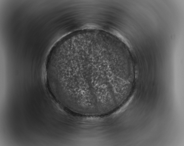 X0000091901117200709261653